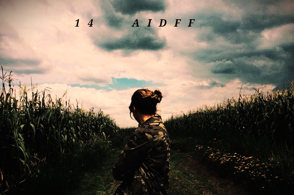 aidff 14